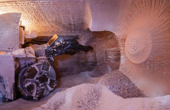 Extraction of the raw materials