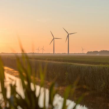 Sustainability not only business value but also strategic asset