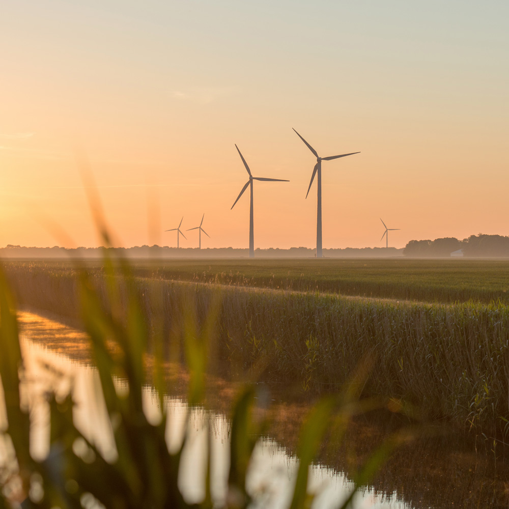 Sustainability not only business value but also strategic asset